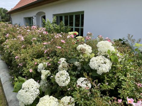 Der Hof Boskop & Clapps