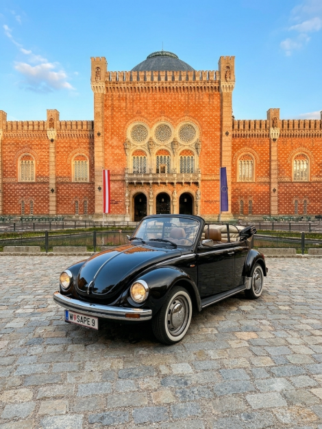 VW-Käfer Cabrio Hochzeitsauto - cabriohochzeit.at
