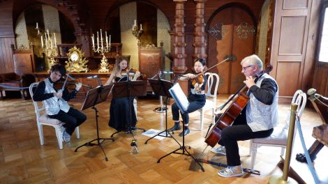Pop String Quartet