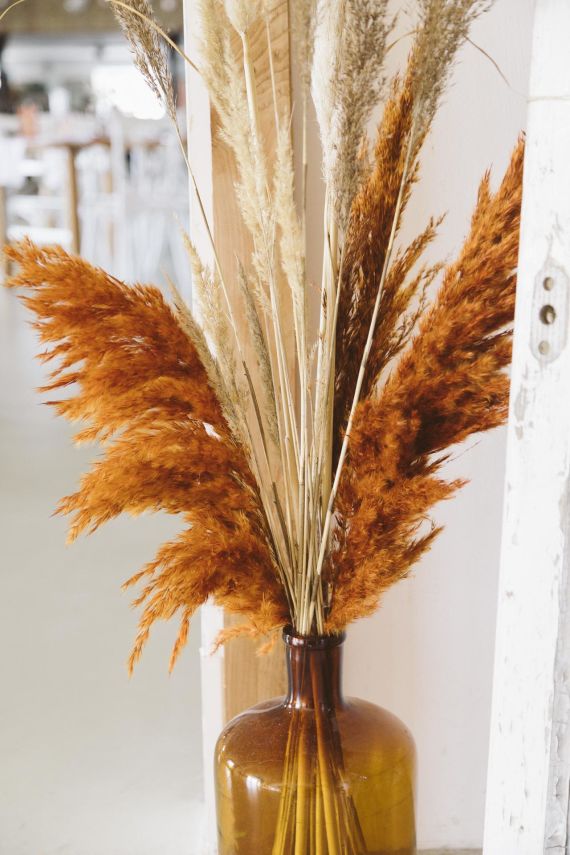 Berührende Zeremonie: Eine musikalische Überraschung sorgt für Freudentränen