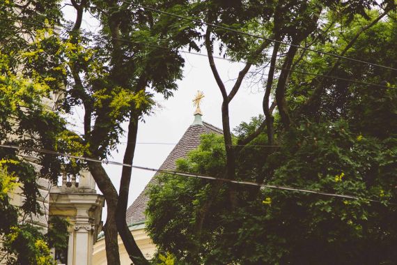 Wiener Hochzeit mit Feier am Schafberg
