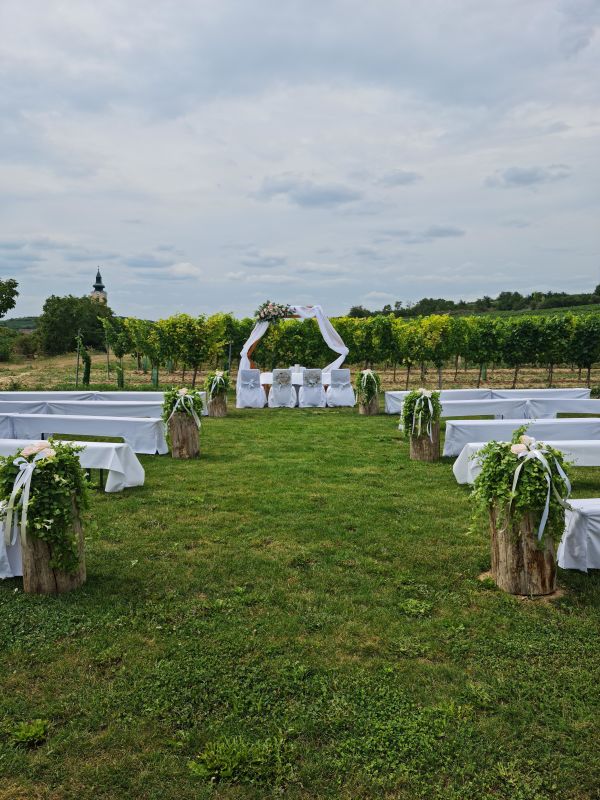 W4 - Wein l Genuss l Kultur