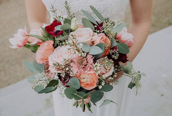 Stielecht Floristik | Blumen, Pflanzen und Köln