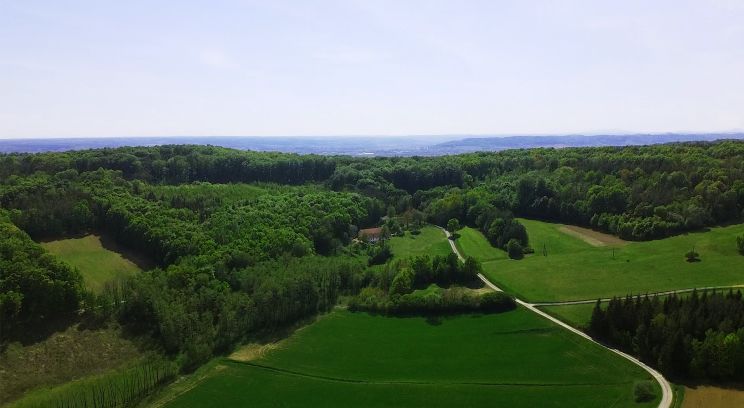 Südburgenländisches Bauernhaus mit Scheune in absoluter Alleinlage neu revitalisiert