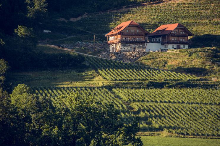 Restaurant Leiten am Weingut Karnburg