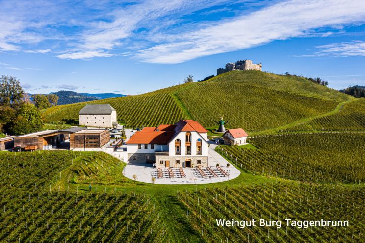 Weingut TAGGENBRUNN