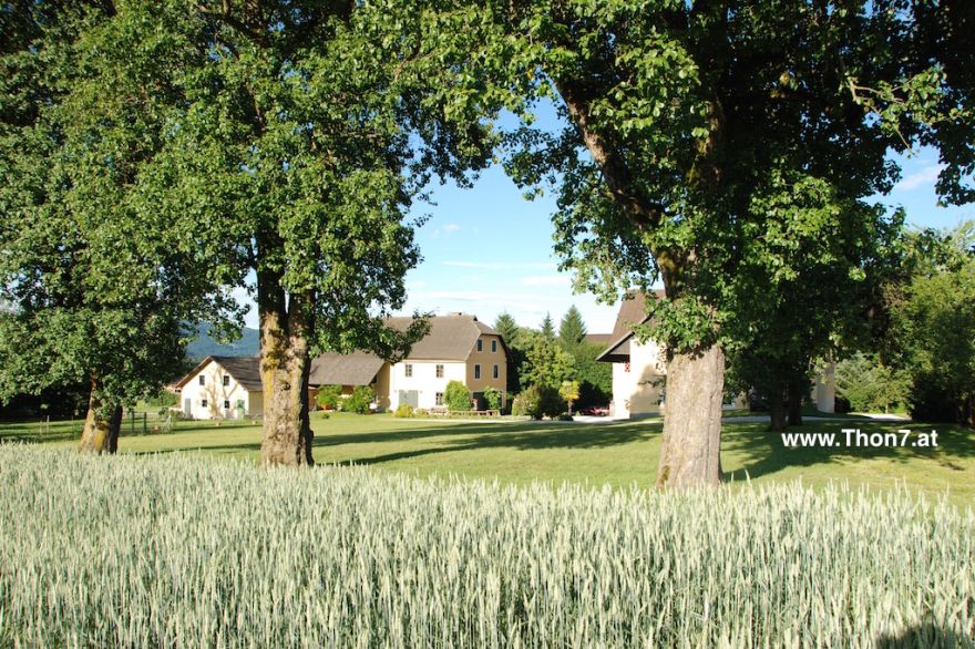 Thon7 - Feiern mit Tradition