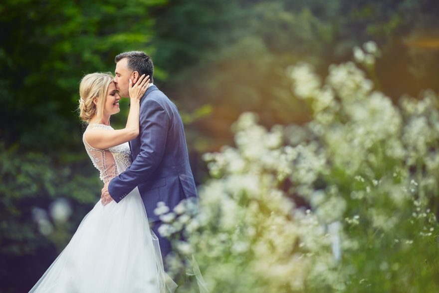 Hamori Films - Foto & Video