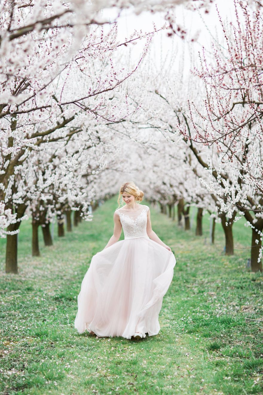 Bridelights Photography