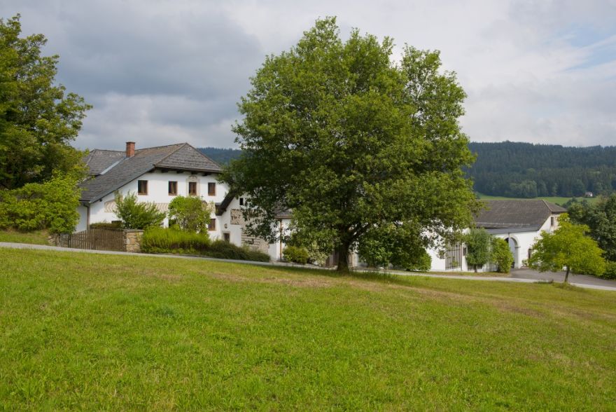 Waldhof