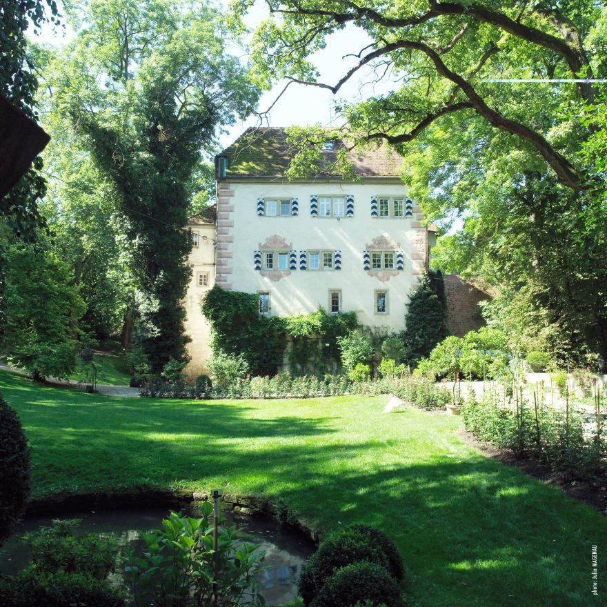 Weingut Graf Adelmann - Burg Schaubeck