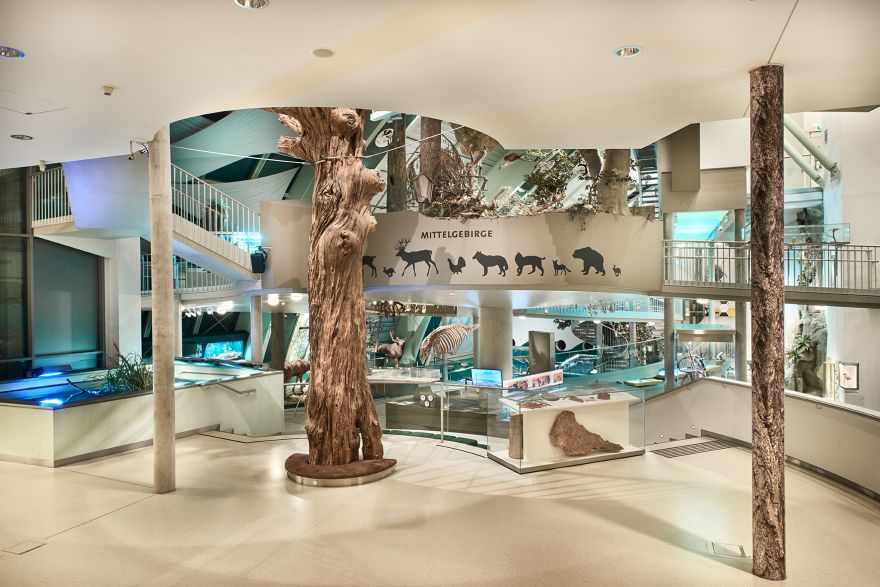 Museum Niederösterreich