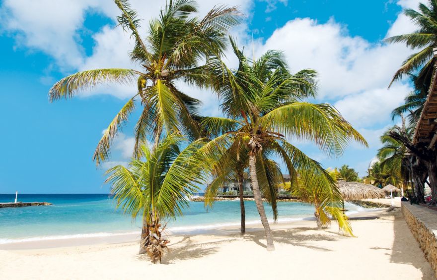 © https://media.hochzeit.click/image/upload/w_1800,c_fill,dpr_auto,f_auto/v1666108686/hochzeitclick01/48959/worldoftravel.jpg World of Travel