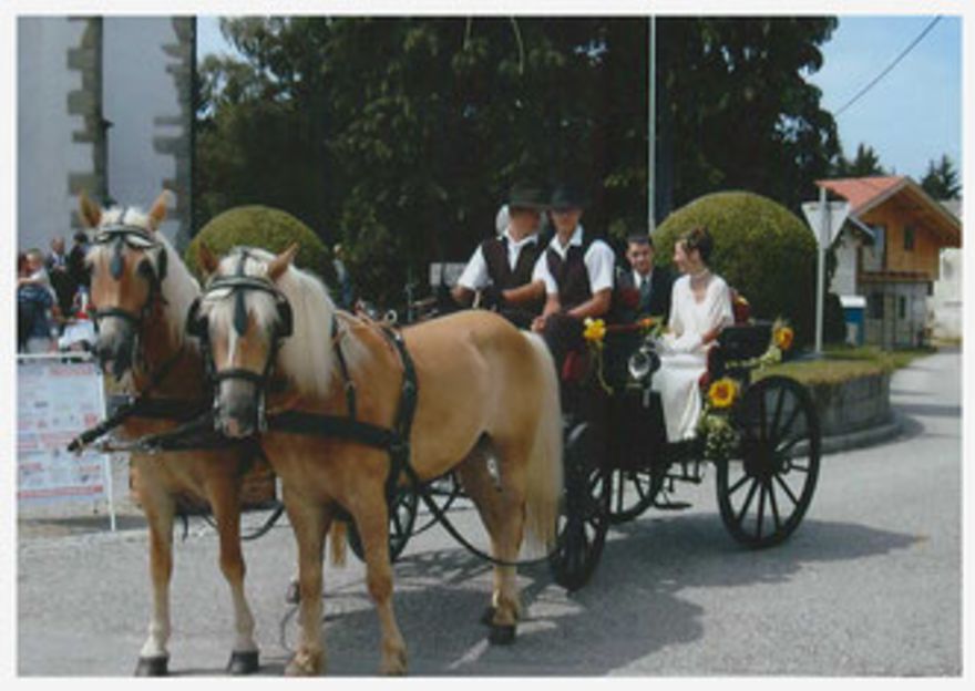 Ein Bett im Kornfeld