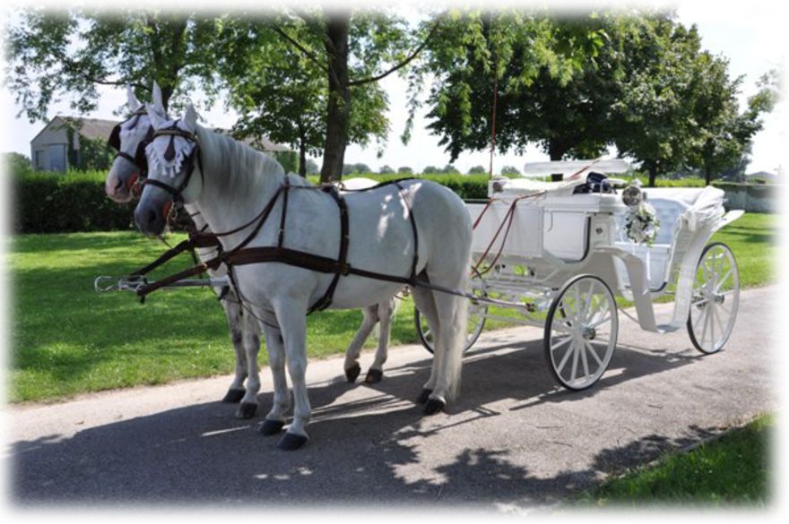 © https://media.hochzeit.click/image/upload/w_1800,c_fill,dpr_auto,f_auto/v1666108809/hochzeitclick01/47763/hochzeit-9.jpg Fiaker Wien