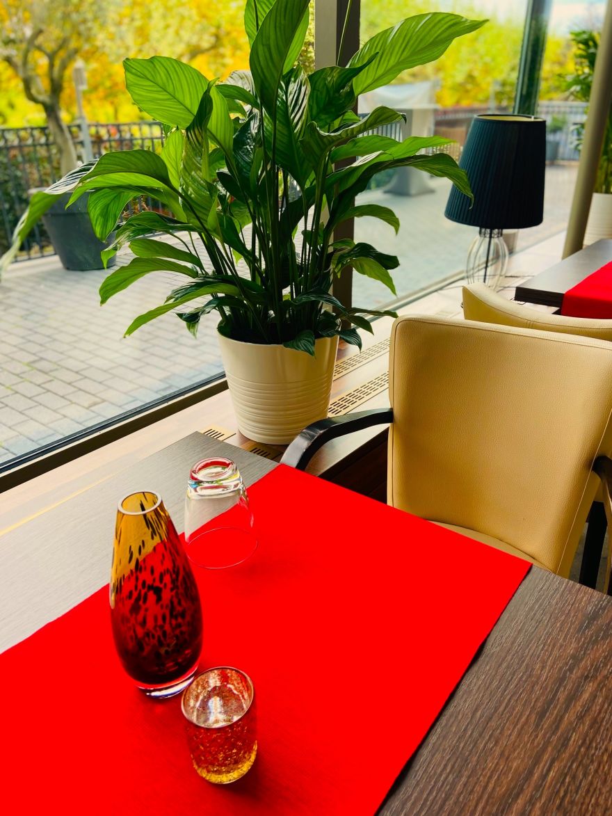 Singh Restaurant am Park 