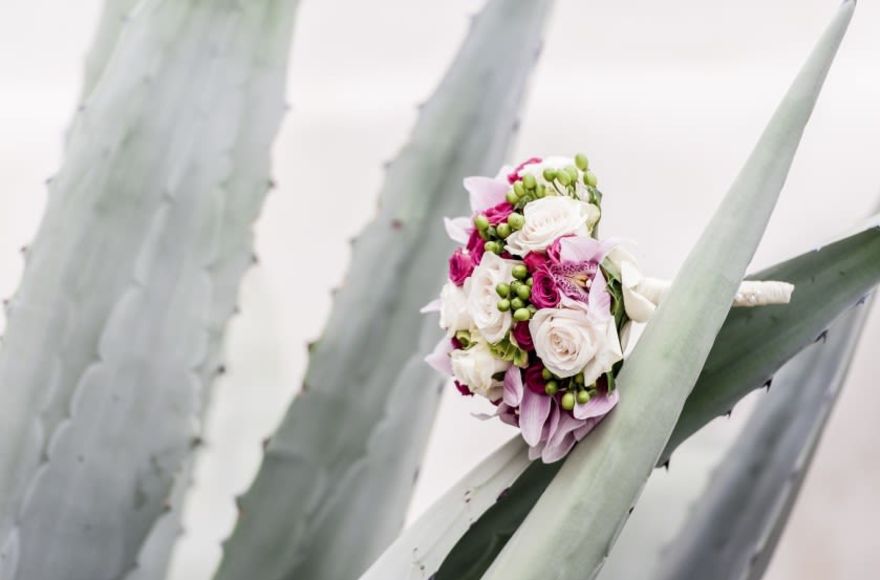 weddingreport