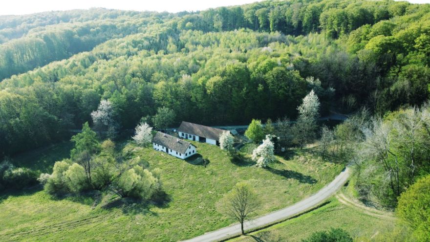 Südburgenländisches Bauernhaus mit Scheune in absoluter Alleinlage neu revitalisiert