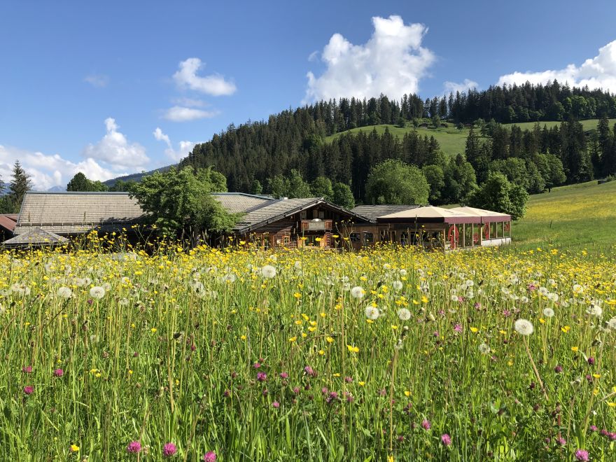 Arlhofhütte