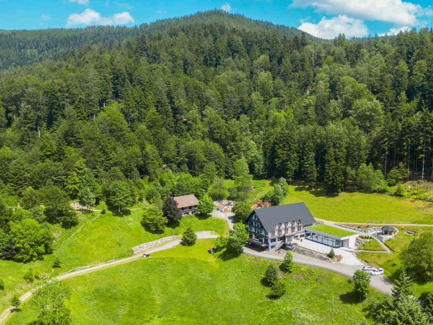 Haus Palmspring