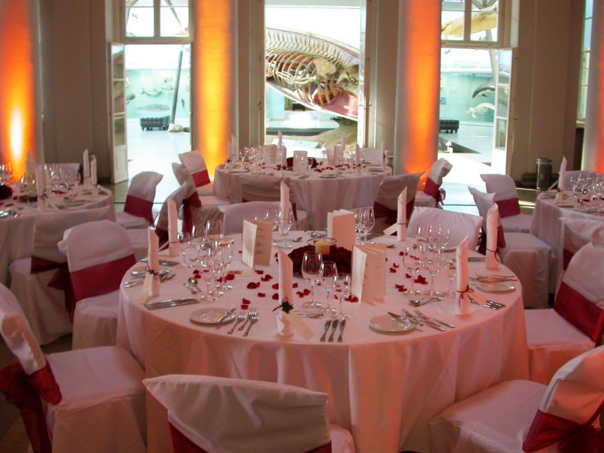 © https://media.hochzeit.click/image/upload/w_1800,c_fill,dpr_auto,f_auto/v1741161035/hochzeitclick01/vxh0s3chrlne7n6jsvea.jpg Schloss Rosenstein