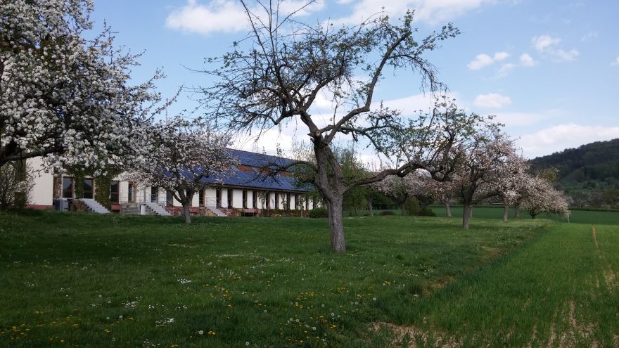 Alter Obstkeller