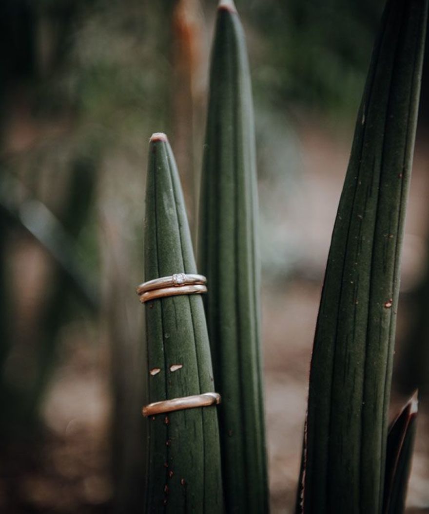 Claudia Weaver Photography
