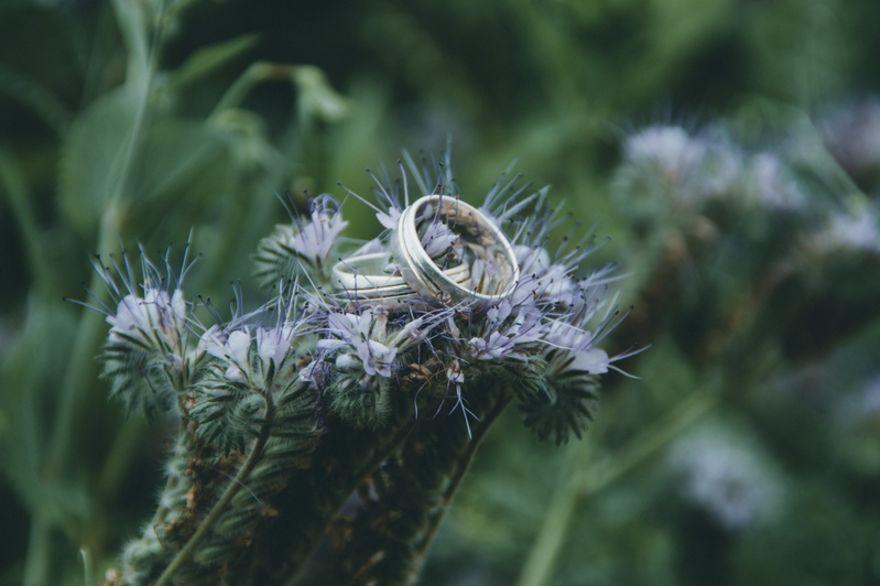 Fotoatelier Birte Fischer