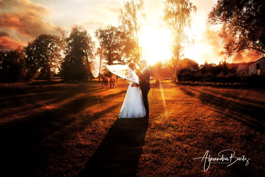 Alexandra Bartz Photography