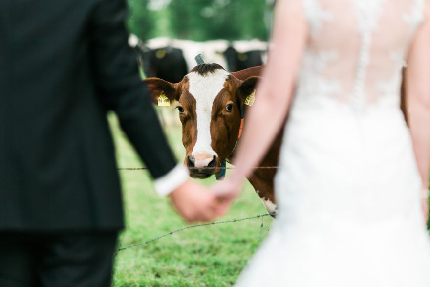 Hochzeitsfotograf Thorsten Hennig