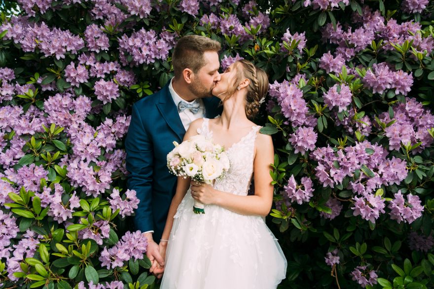 Nick Harwart Photography