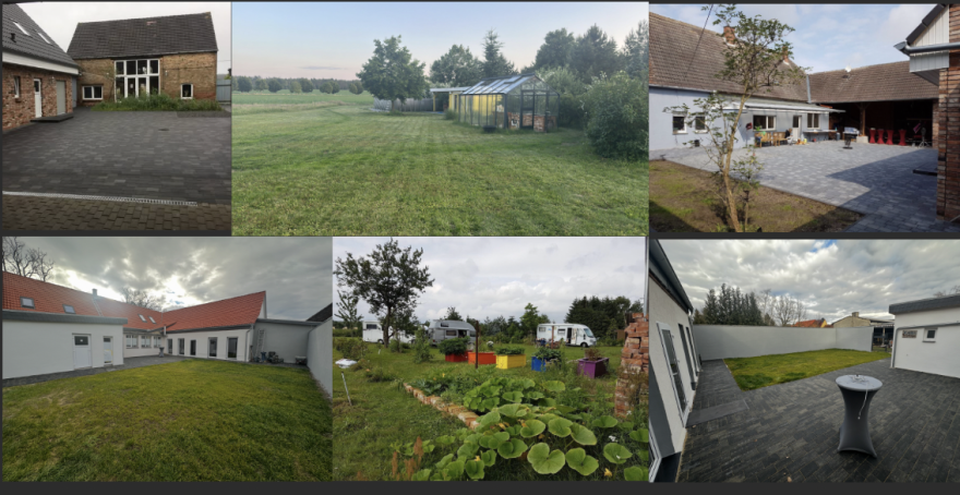 The Farm and Friends