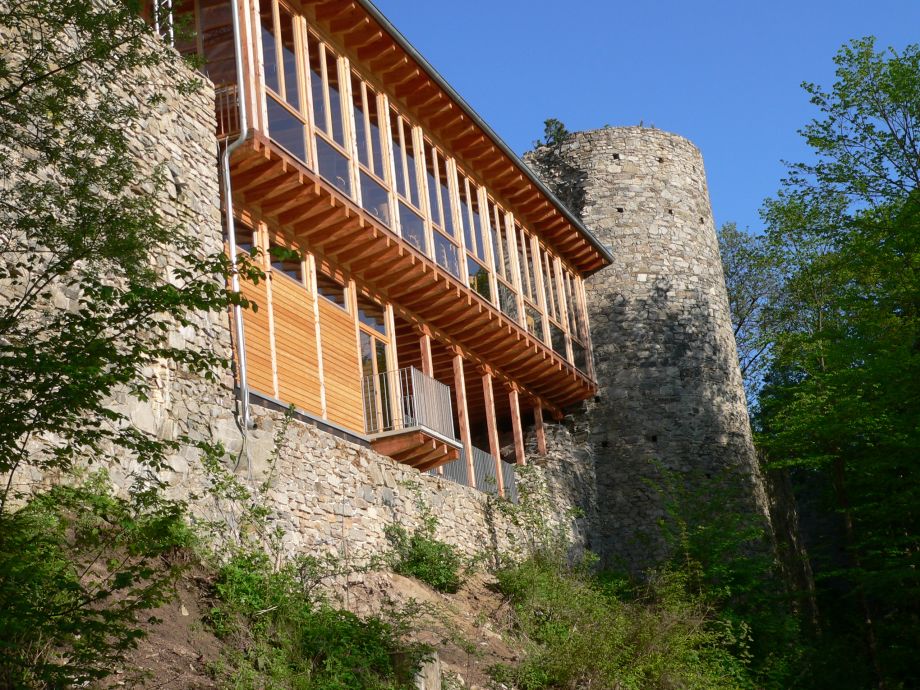 Burgruine Dobra