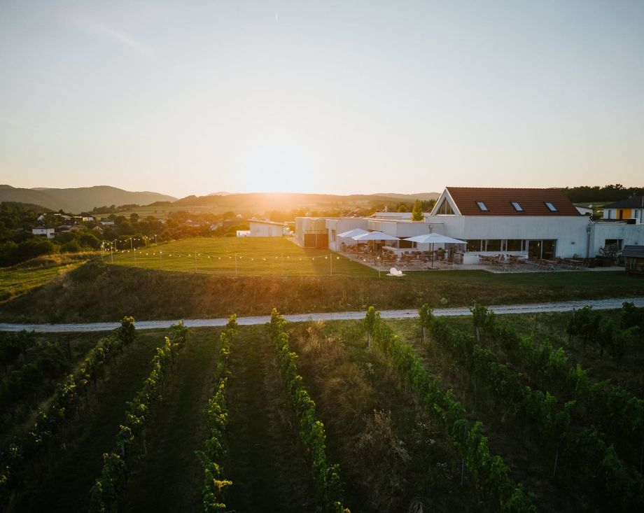 WEINGUT & WEINBLICK Grafinger