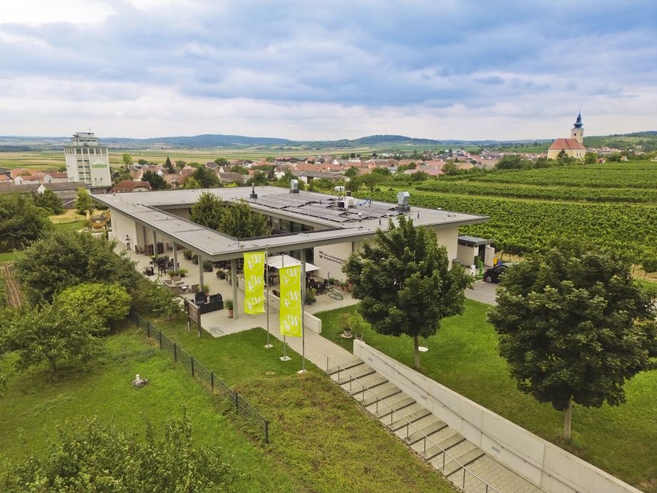 W4 - Wein l Genuss l Kultur