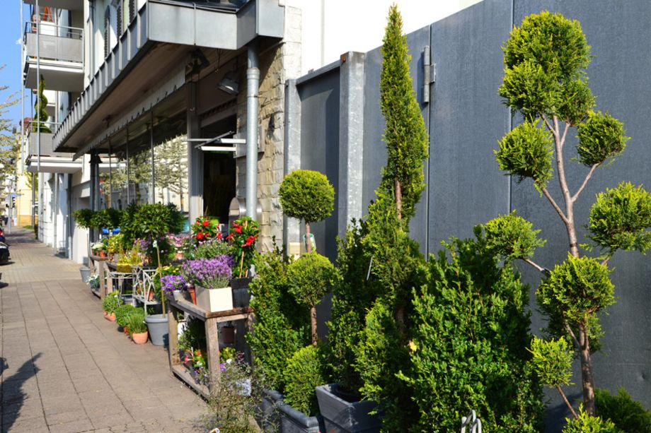 Blumen Bachmann