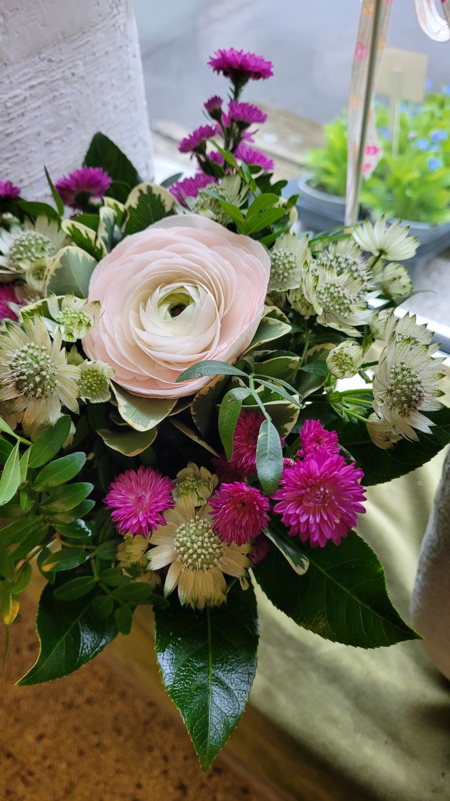 Pusteblume